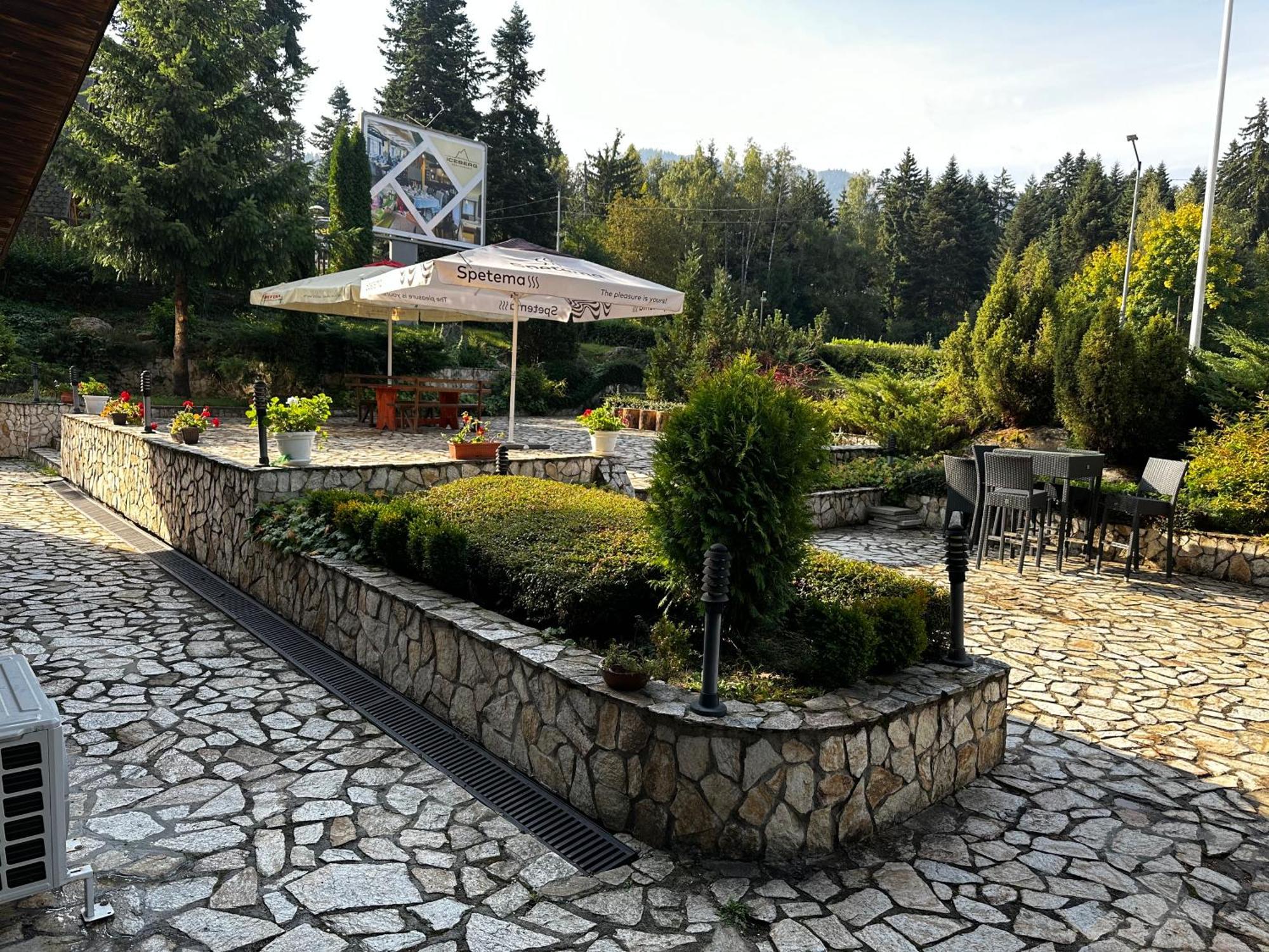 Borovets Holiday Apartments - Different Locations In Borowez Exterior foto